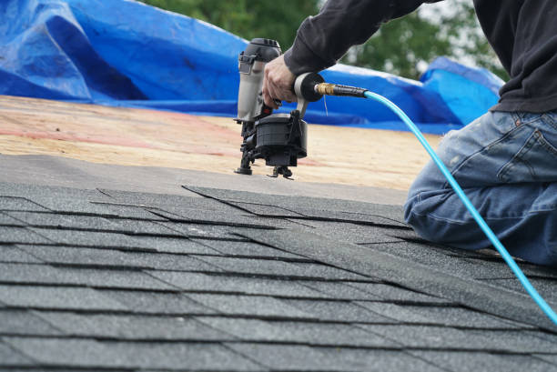 Best Roof Gutter Cleaning  in Dawson, TX